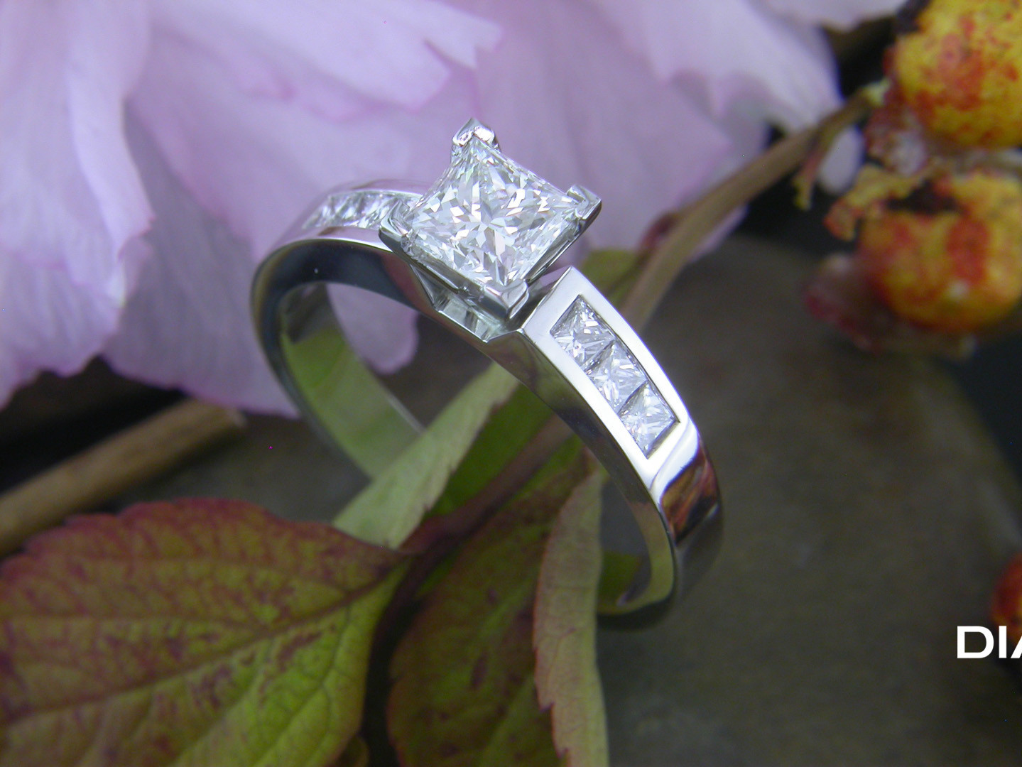 V prong clearance princess cut